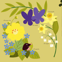 Mes imagiers de la vie sauvage - La forêt