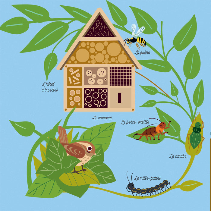 Mes imagiers de la vie sauvage - La ville