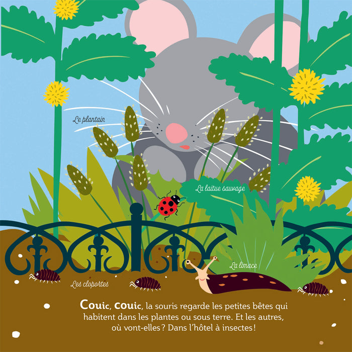 Mes imagiers de la vie sauvage - La ville