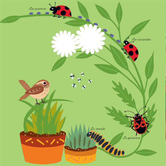 Mes imagiers de la vie sauvage - La ville