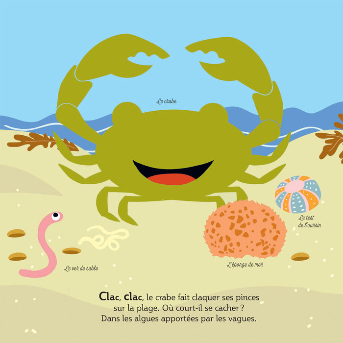 Mes imagiers de la vie sauvage - La mer