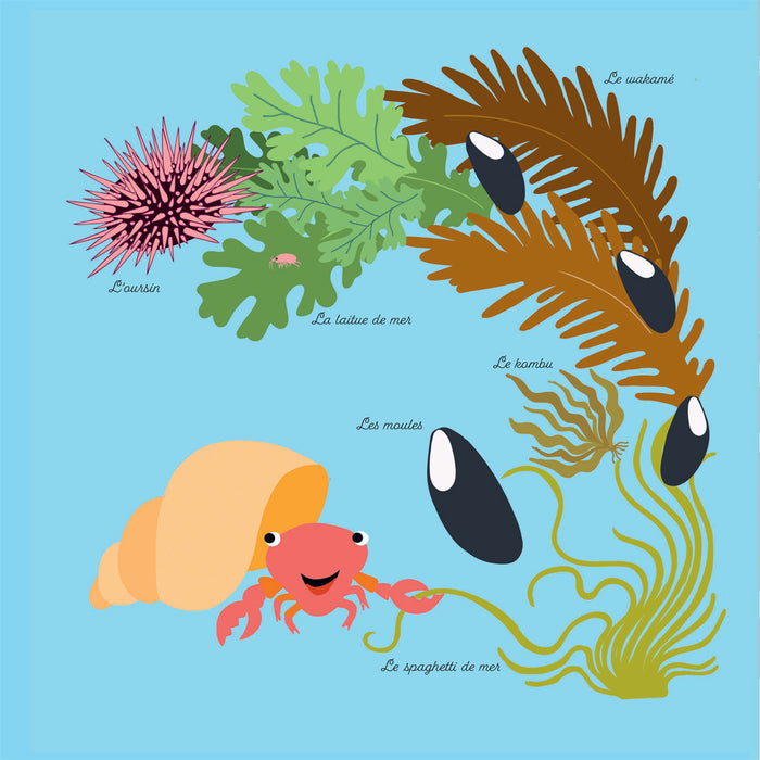 Mes imagiers de la vie sauvage - La mer