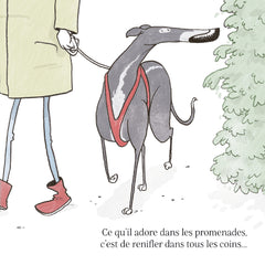 On va se promener ?!