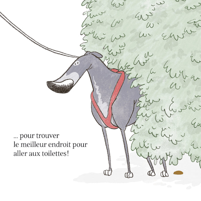 On va se promener ?!