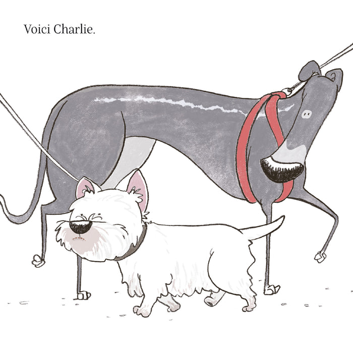 On va se promener ?!