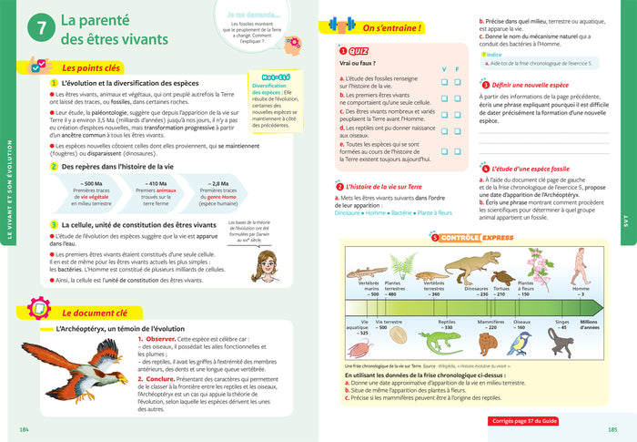 Tout savoir 5e - Tout en un