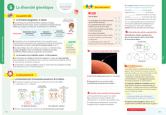 Tout savoir 3e Spécial brevet - Tout en un