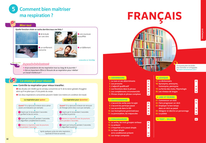 Tout savoir 6e - Tout en un