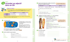 Maîtriser les règles d'accord