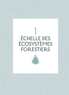 Les Forêts du monde