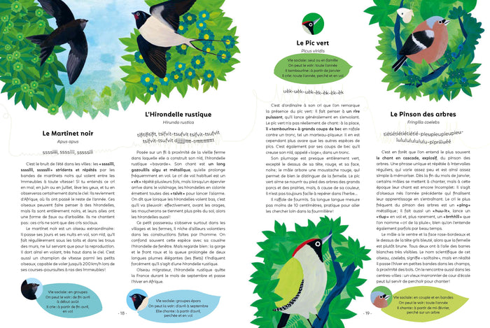 Ecoute les oiseaux