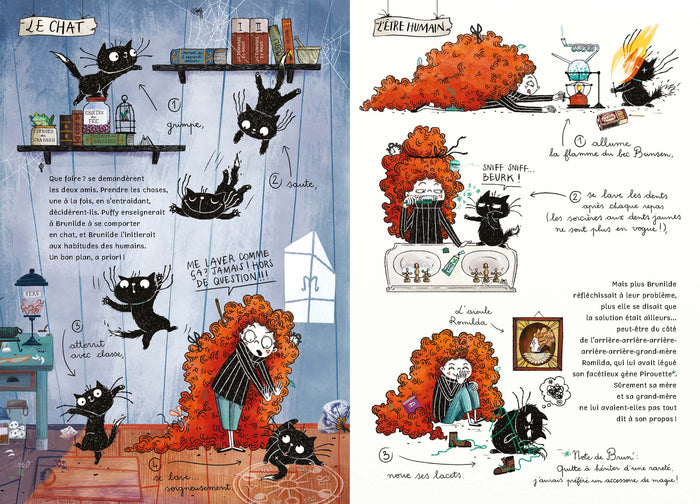 Puffy & Brunilde - Le Journal perdu