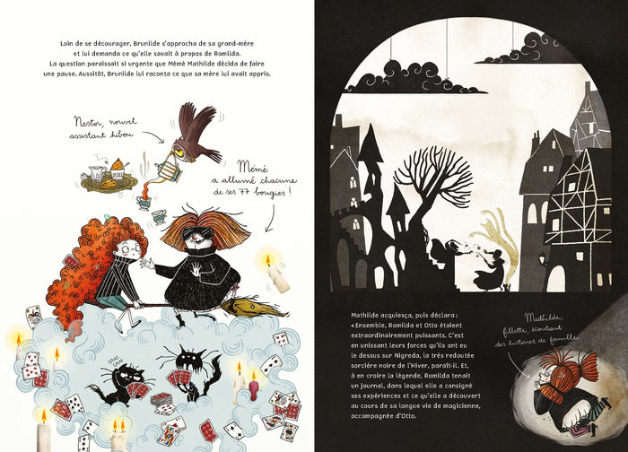 Puffy & Brunilde - Le Journal perdu