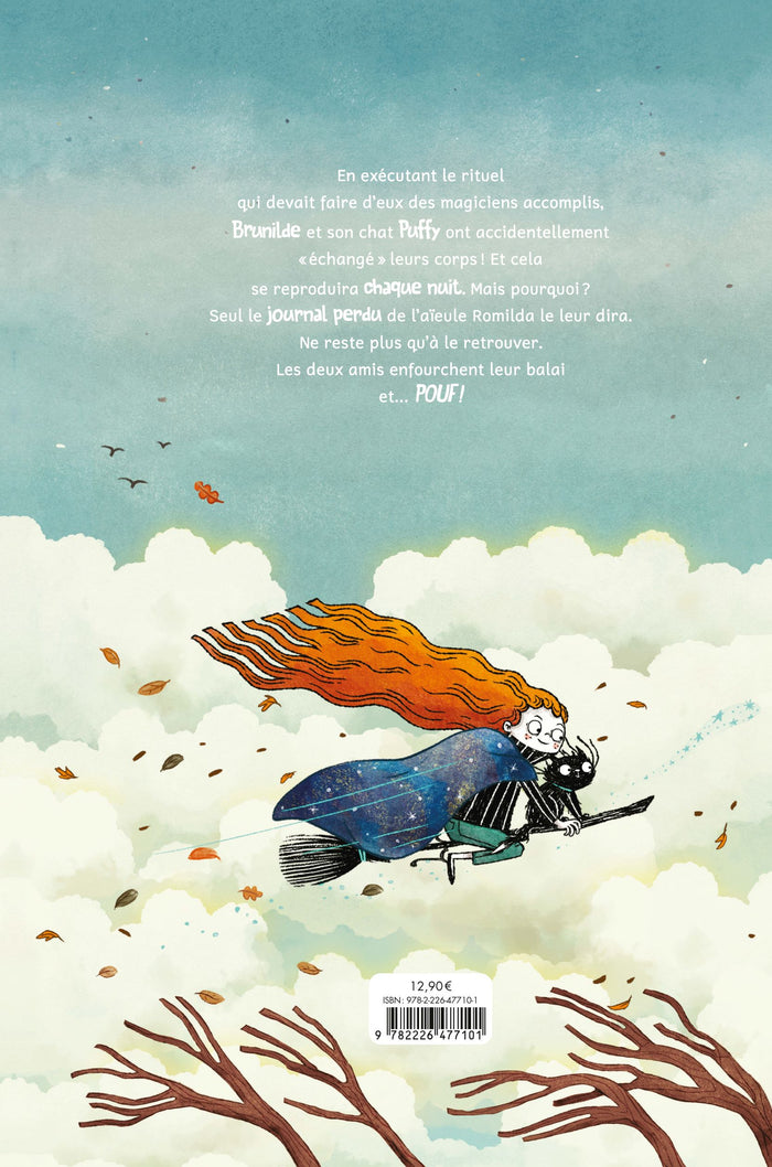 Puffy & Brunilde - Le Journal perdu