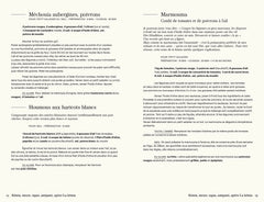 L'été passe... les recettes restent