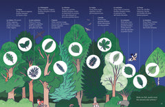 La vie de la forêt