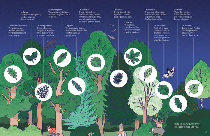 La vie de la forêt