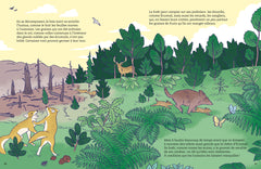 La vie de la forêt