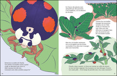 Une Terre précieuse