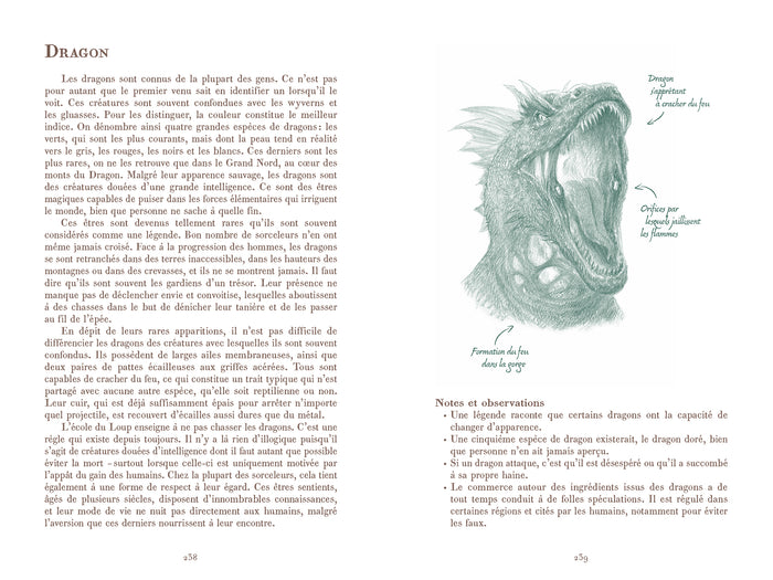 L'univers du Sorceleur (Witcher) : Manuel du Sorceleur