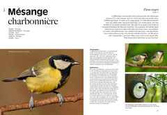 Le jardin des oiseaux