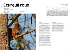 Le jardin des oiseaux