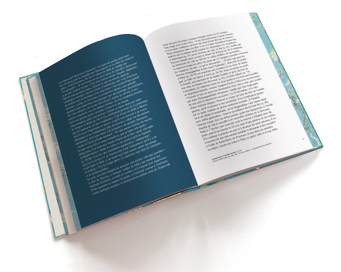 Van Gogh. L'art plus grand