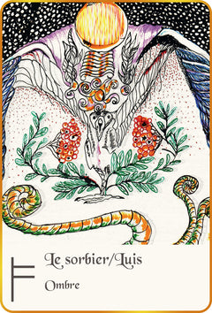 L'Ogham du bois sacré - Cartes Oracle