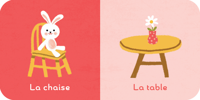 Ma première bibliothèque Larousse