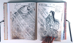Hokusai. Le fou de dessin