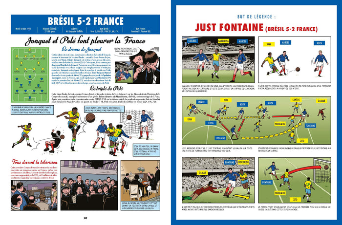 L'histoire illustrée des bleus