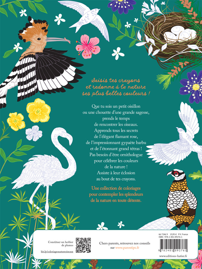 Les coloriages dans la nature - Les oiseaux
