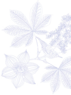 Les coloriages dans la nature - Les oiseaux