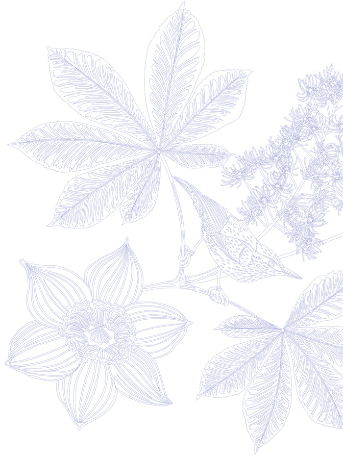 Les coloriages dans la nature - Les oiseaux