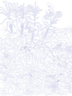 Les coloriages dans la nature - Les oiseaux