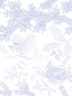 Les coloriages dans la nature - Les oiseaux