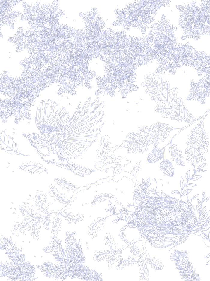 Les coloriages dans la nature - Les oiseaux