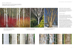 Jardins d'hiver - Une saison réinventée