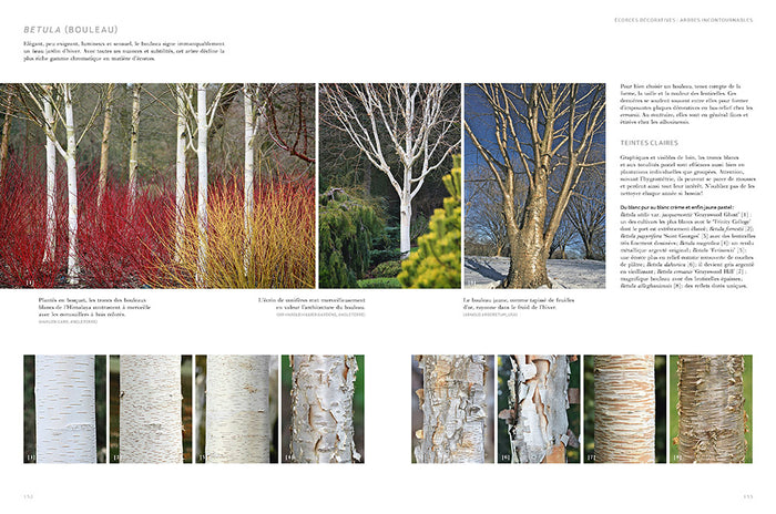 Jardins d'hiver - Une saison réinventée