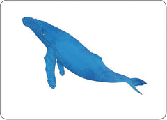 Mon coffret Montessori initiation lecture