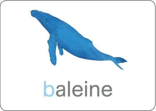 Mon coffret Montessori initiation lecture