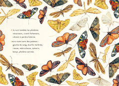Le petit livre des sortilèges