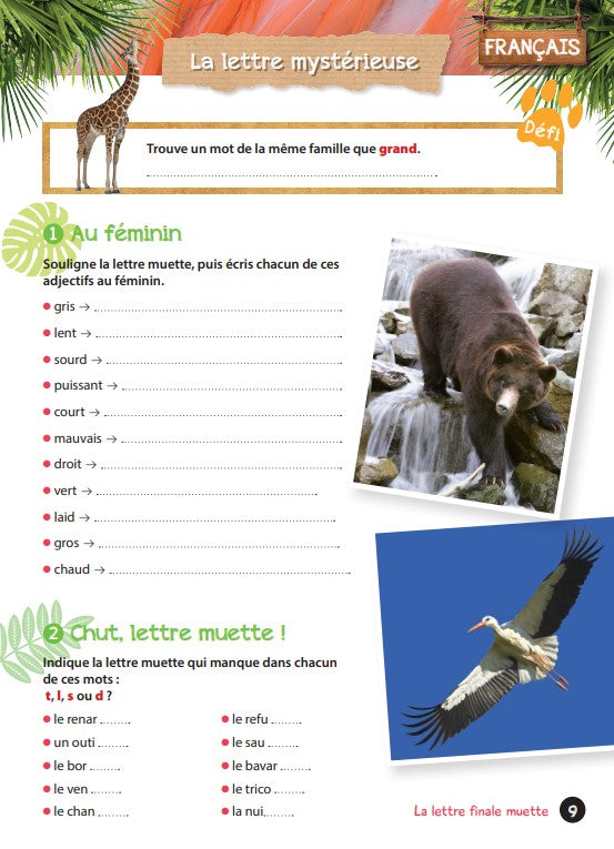 Cahier de vacances Une saison au zoo CE2-CM1