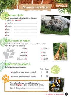 Cahier de vacances UNE SAISON AU ZOO CM2-6e