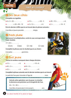 Cahier de vacances UNE SAISON AU ZOO CM2-6e