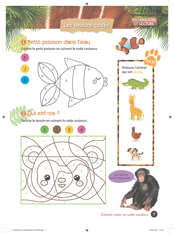 Mon cahier de vacances Une saison au zoo MS-GS