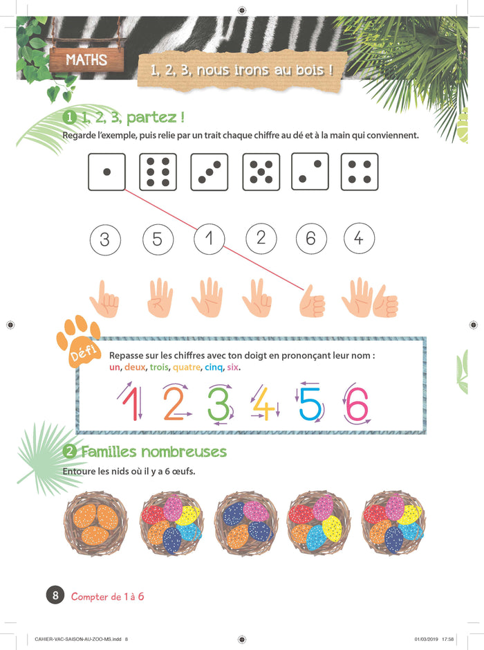 Mon cahier de vacances Une saison au zoo MS-GS