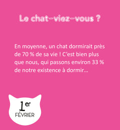 Mini calendrier 365 jours LOL Cats