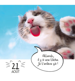 Mini calendrier 365 jours LOL Cats