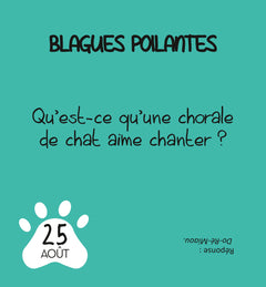 Mini calendrier 365 jours LOL Cats